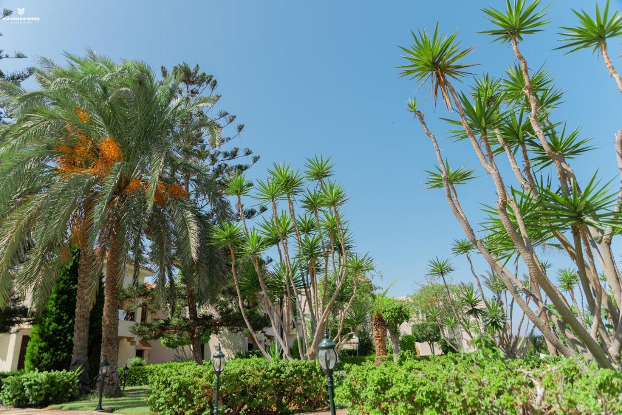 Marhaba Resort Port Said Exteriér fotografie